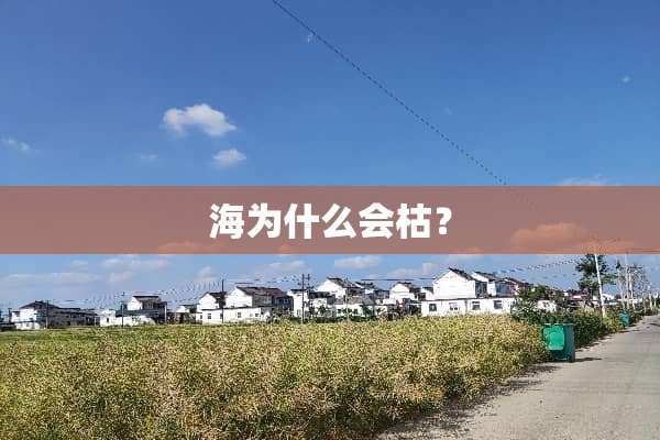 海为什么会枯？