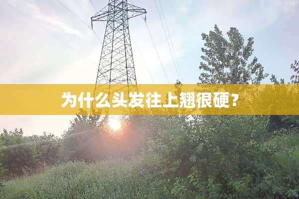 为什么头发往上翘很硬？