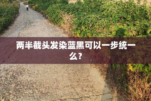 两半截头发染蓝黑可以一步统一么？