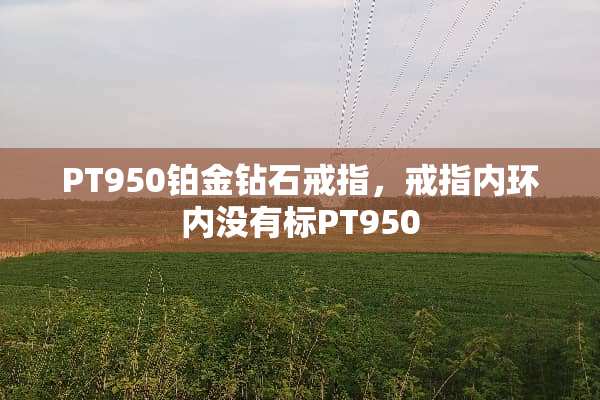 PT950铂金钻石戒指，戒指内环内没有标PT950