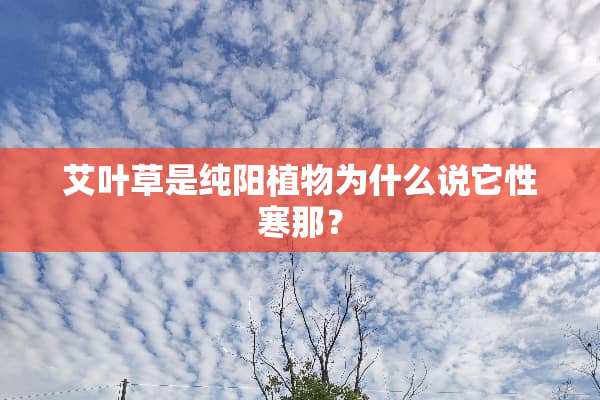 艾叶草是纯阳植物为什么说它性寒那？