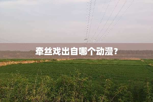 牵丝戏出自哪个动漫？