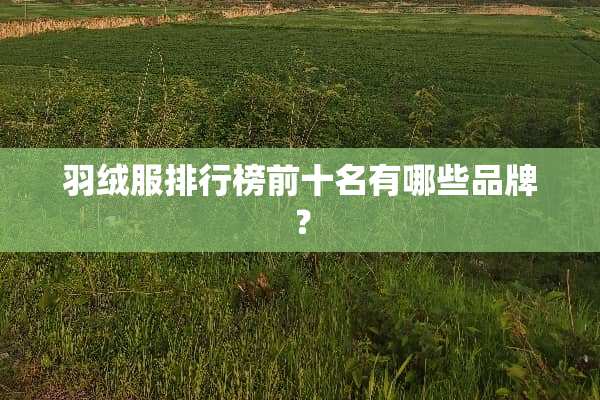 羽绒服排行榜前十名有哪些品牌？