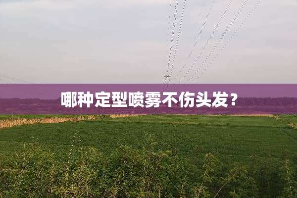 哪种定型喷雾不伤头发？