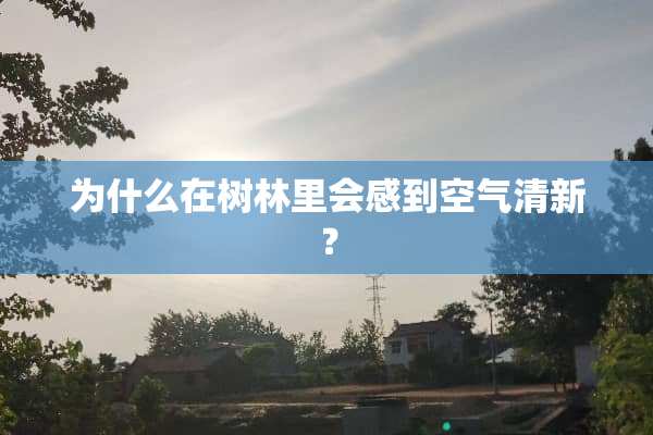 为什么在树林里会感到空气清新？