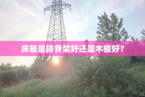 床板是排骨架好还是木板好？
