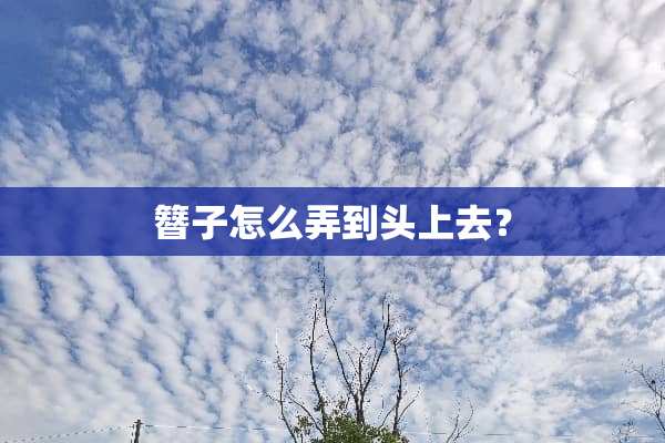 簪子怎么弄到头上去？
