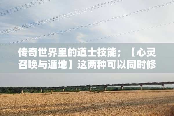 传奇世界里的道士技能；【心灵召唤与遁地】这两种可以同时**吗？