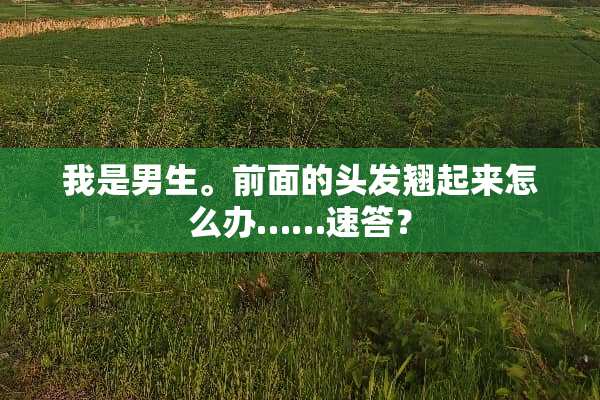 我是男生。前面的头发翘起来怎么办……速答？