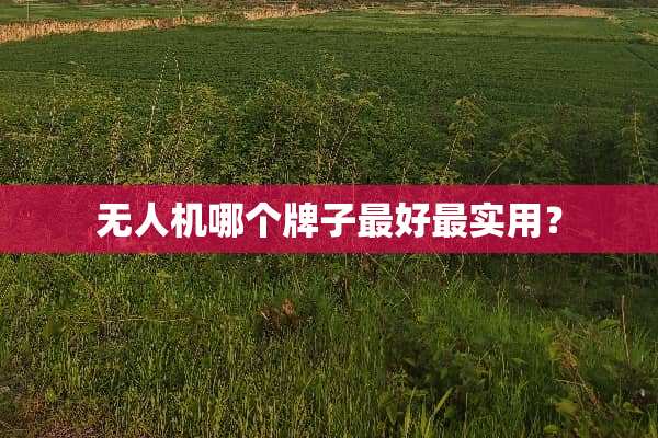 无人机哪个牌子最好最实用？