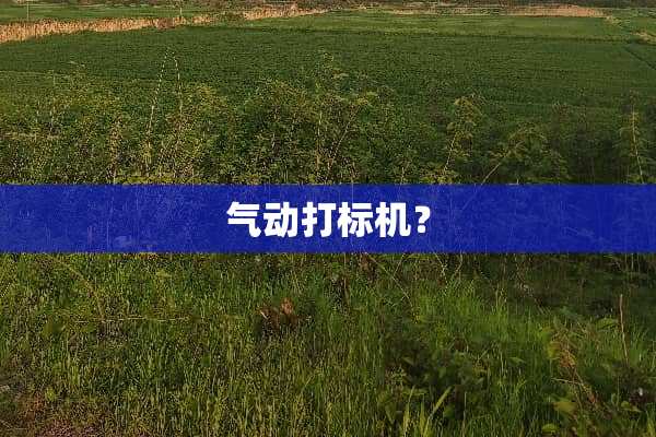 气动打标机？