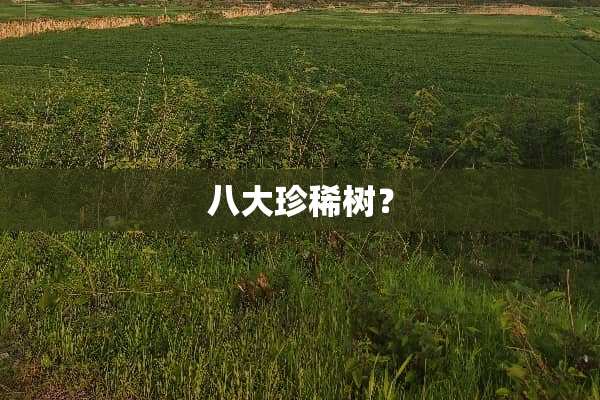 八大珍稀树？