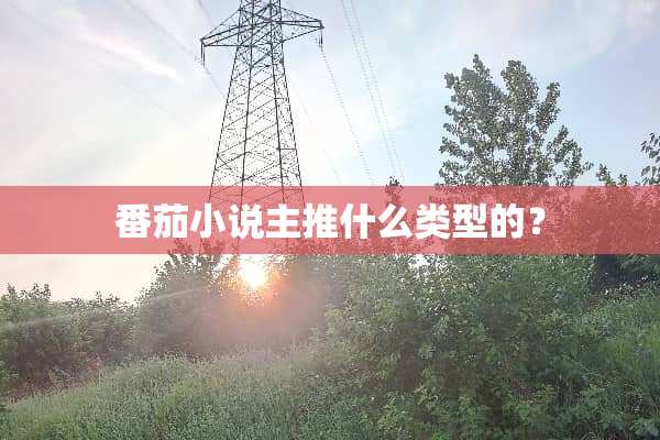 番茄小说主推什么类型的？