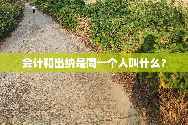 会计和出纳是同一个人叫什么？