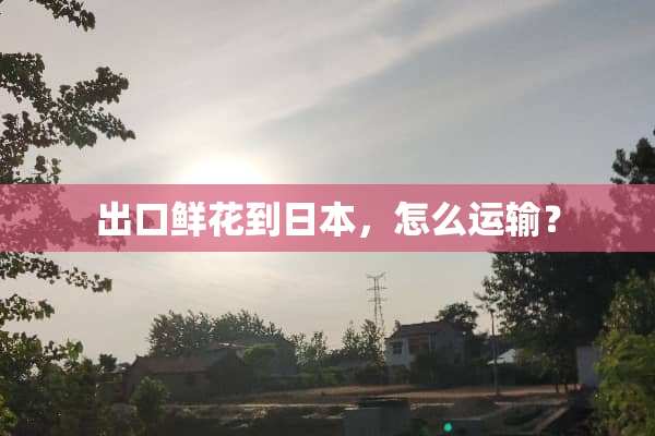 出口鲜花到日本，怎么运输？