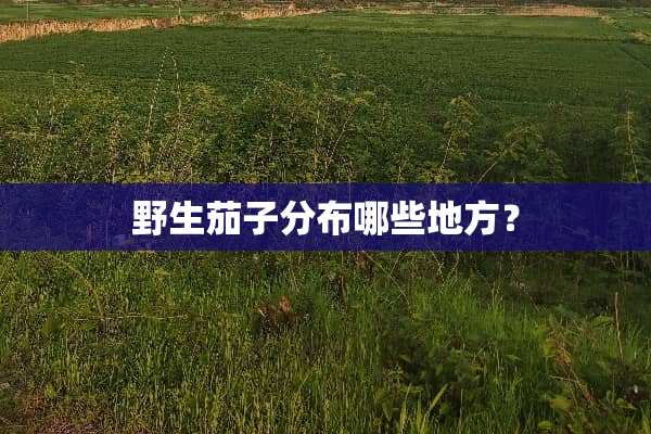 野生茄子分布哪些地方？