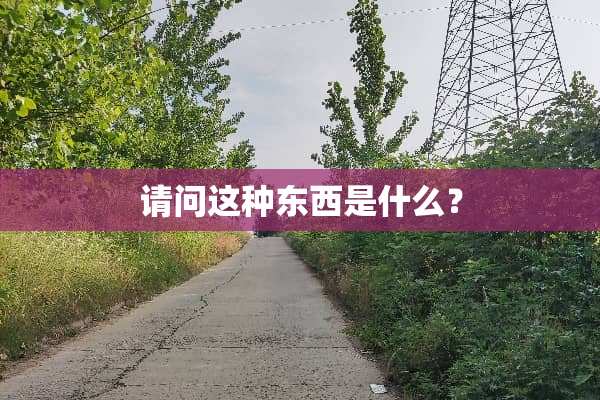 请问这种东西是什么？
