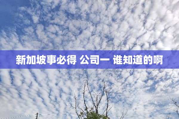 新加坡事必得 公司一 谁知道的啊