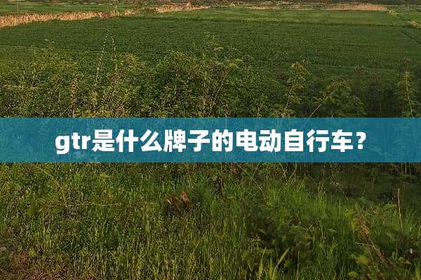 gtr是什么牌子的电动自行车？