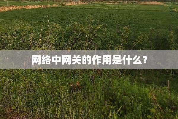 网络中网关的作用是什么？