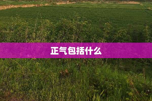 正气包括什么