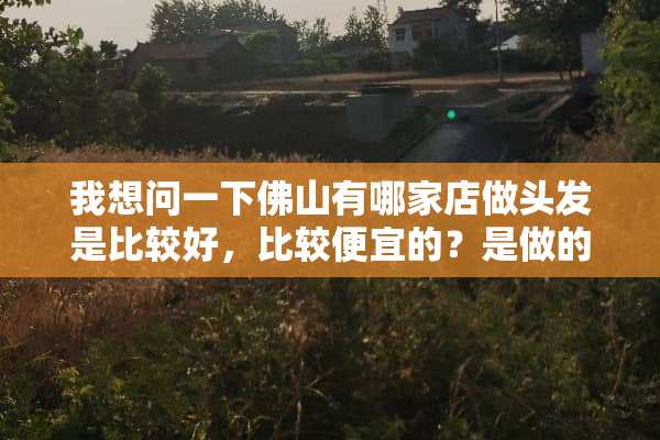 我想问一下佛山有哪家店做头发是比较好，比较便宜的？是做的卷发？