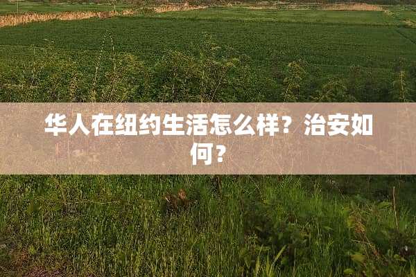 华人在纽约生活怎么样？治安如何？