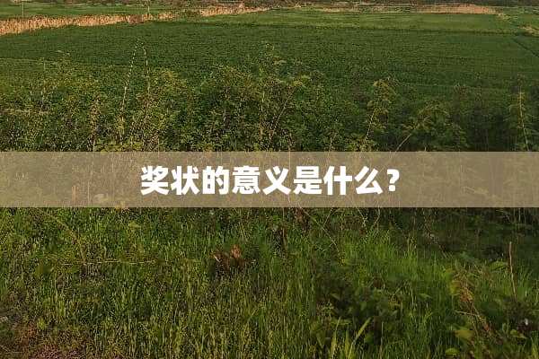 奖状的意义是什么？