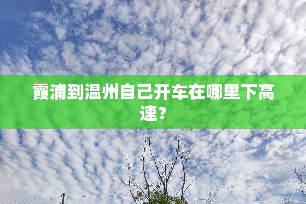 霞浦到温州自己开车在哪里下高速？
