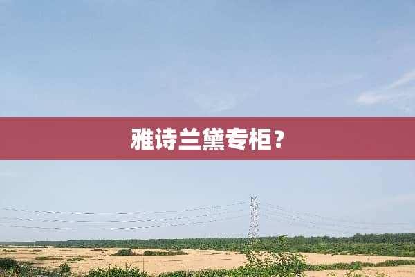 雅诗兰黛专柜？