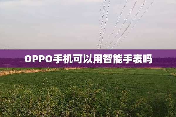 OPPO手机可以用智能手表吗