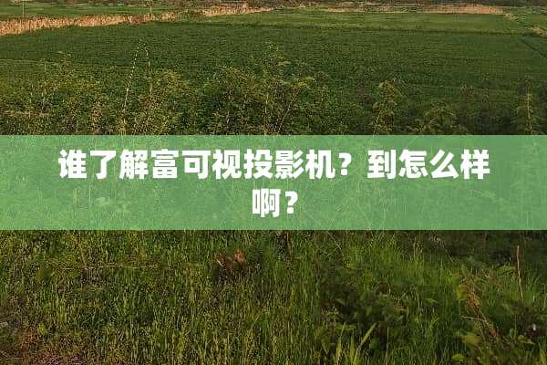 谁了解富可视投影机？到怎么样啊？