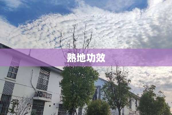 熟地功效