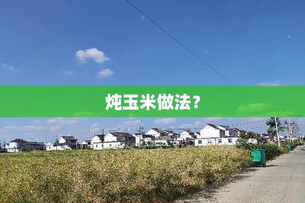 炖玉米做法？