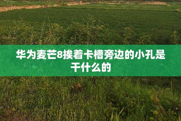 华为麦芒8挨着卡槽旁边的小孔是干什么的