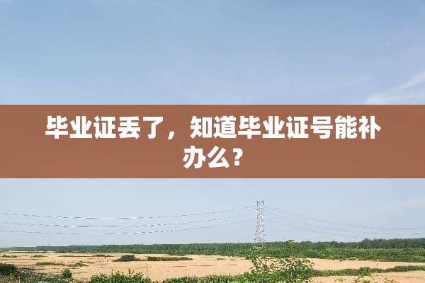 ***丢了，知道***号能补办么？