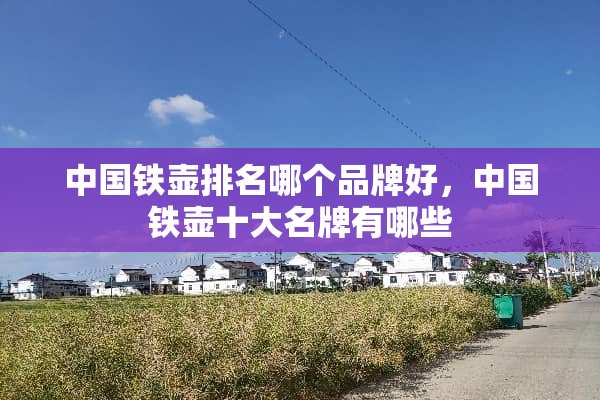 中国铁壶排名哪个品牌好，中国铁壶十大名牌有哪些