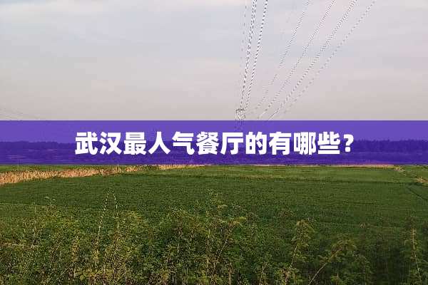 武汉最人气餐厅的有哪些？