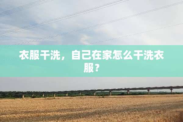 衣服干洗，自己在家怎么干洗衣服？