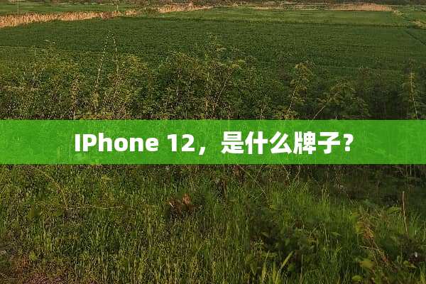 IPhone 12，是什么牌子？