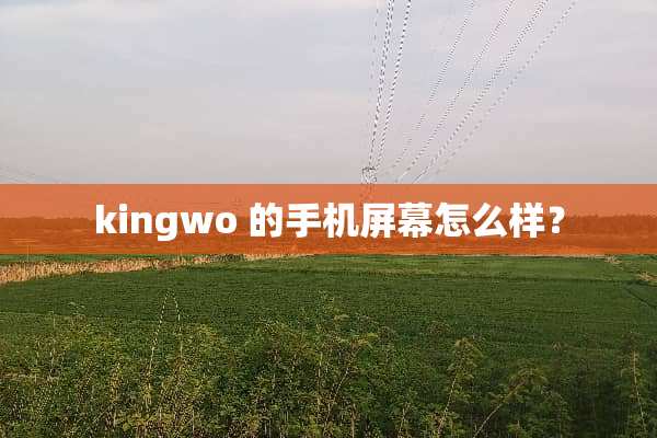 kingwo 的手机屏幕怎么样？