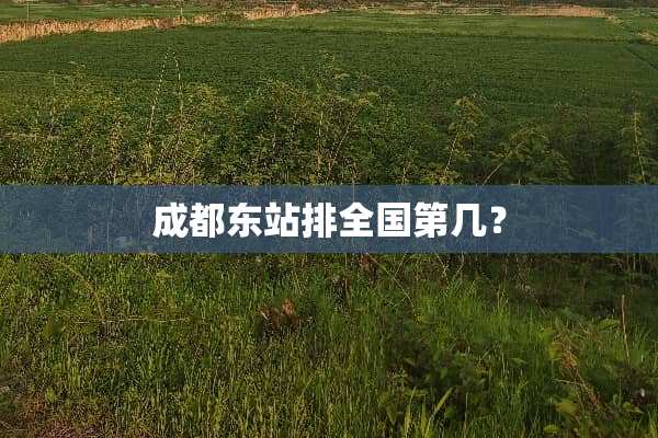 成都东站排全国第几？