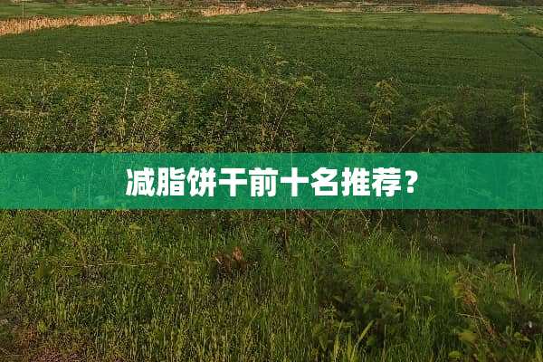 减脂饼干前十名推荐？