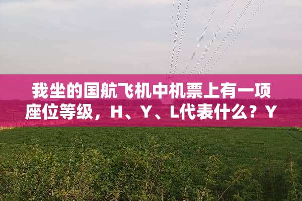 我坐的国航飞机中机票上有一项座位等级，H、Y、L代表什么？Y、L同一个舱吗？