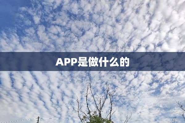 APP是做什么的