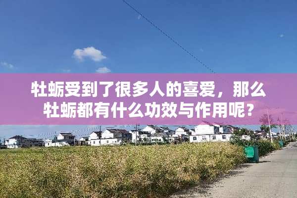 牡蛎受到了很多人的喜爱，那么牡蛎都有什么功效与作用呢？