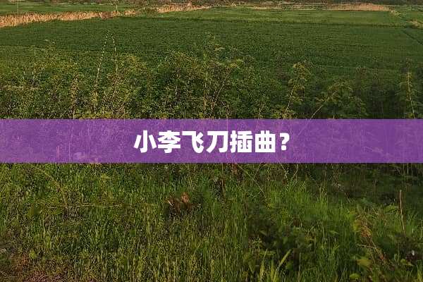 小李飞刀插曲？