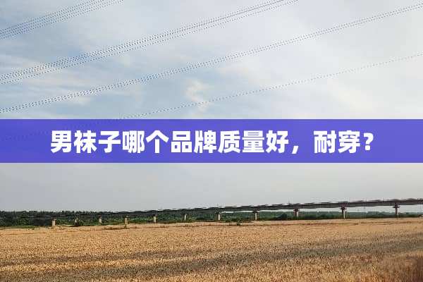 男袜子哪个品牌质量好，耐穿？