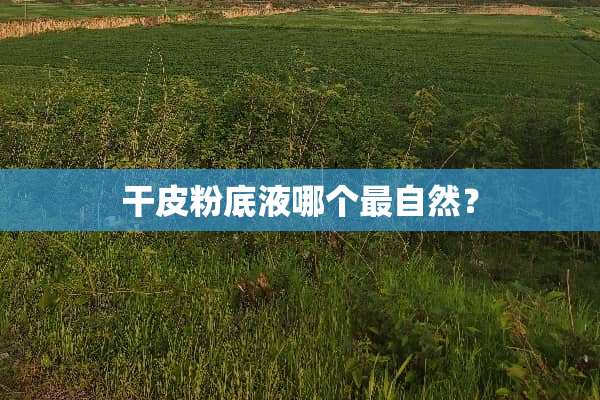 干皮粉底液哪个最自然？