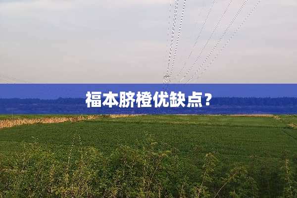福本脐橙优缺点？
